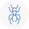 Ant Removals In Aberystwyth