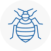 Bed Bug Extermination In Aberystwyth