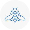 Bee Nest Removal Aberystwyth