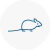 Mice Exterminators In Aberystwyth