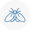 Moth Control Specialists In Aberystwyth