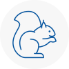 Aberystwyth Rodent Removals